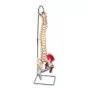 Columna flexible – versión de lujo pintada con cabezas de fémur A58/7
