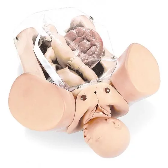Simulador de obstetricia Erler Zimmer R10180