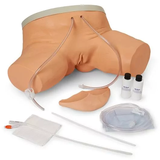 Simulador de cateterismo femenino W44006 3B Scientific