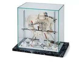 Vitrina "Pelvis" W23013