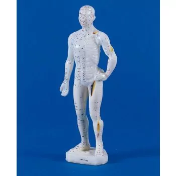 Mini modelo masculino de acupuntura 2044 Erler Zimmer