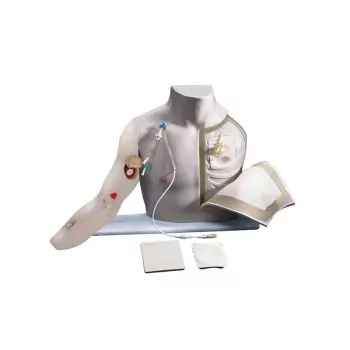 Simulador de acceso vascular Erler Zimmer R18803