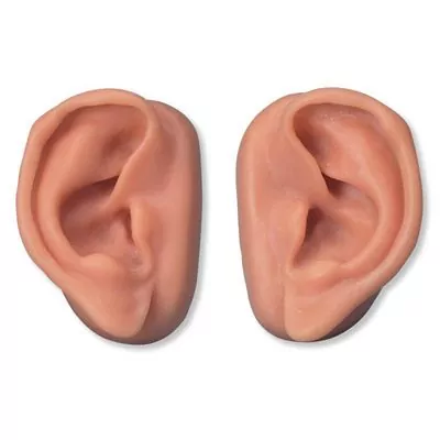 Juego de 10 Orejas para acupuntura N16 3B Scientific