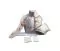 Simulador de acceso vascular Erler Zimmer R18803