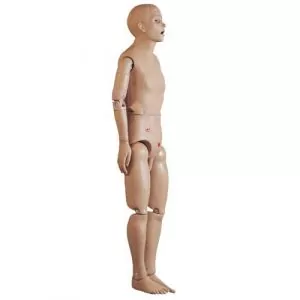 Maniquí para el cuidado básico del paciente, masculino 3B - W45070